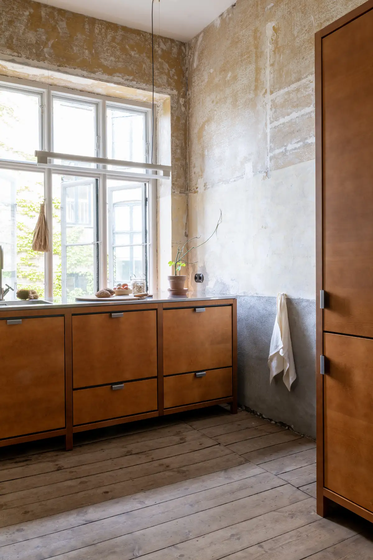 20240529_cph_frama_ginger_l1080419