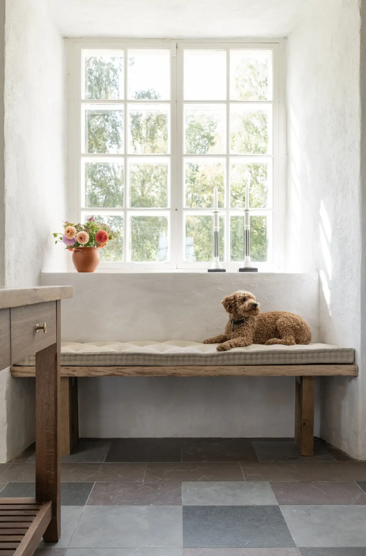 240828_broby_rain_arbyslottl1120396_1